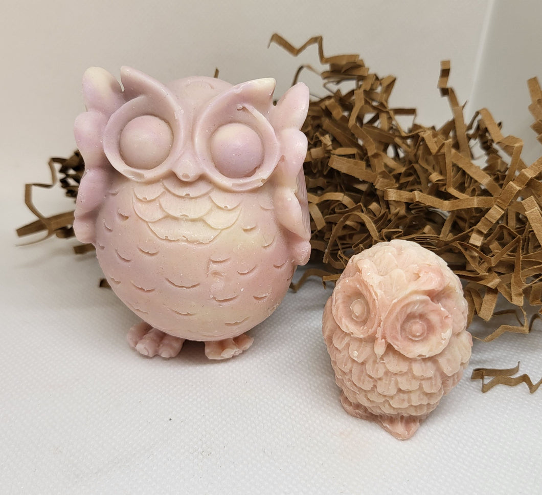 Owl Pair Goat Milk Soap Gift Set